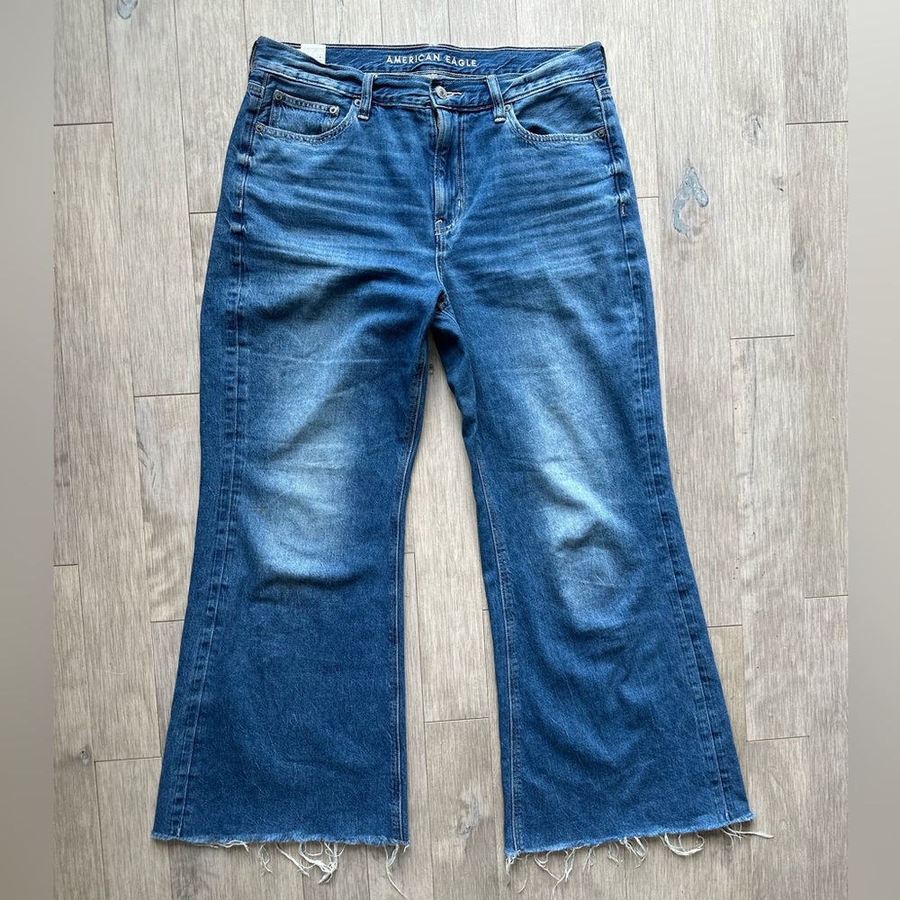 American Eagle Outfitters Low Rise Baggy‎ Flare Jeans 10